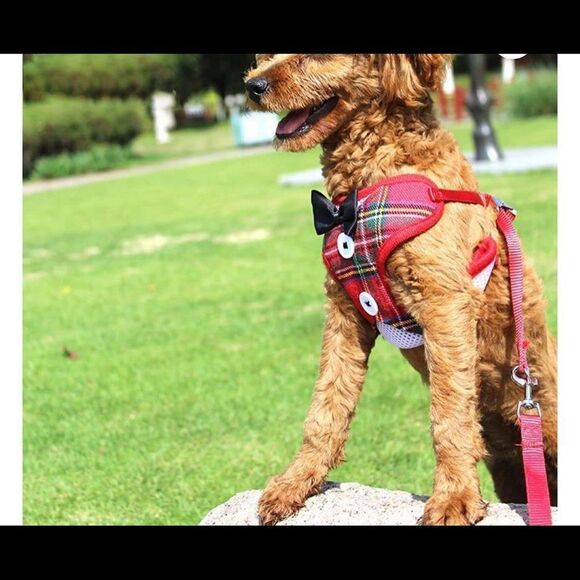 Belt Collar chest strap for dogs.  LARGE NWT - Picture 4 of 10